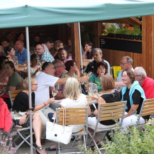 FESTIVAL VÍN V OTEVŘENÉ ZAHRADĚ POD ŠPILBERKEM V SRDCI BRNA – LETNÍ VÍNO Z BLÍZKA