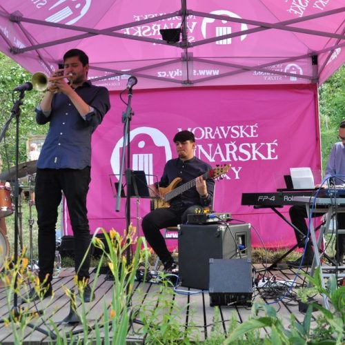 FESTIVAL VÍN V OTEVŘENÉ ZAHRADĚ POD ŠPILBERKEM V SRDCI BRNA – LETNÍ VÍNO Z BLÍZKA
