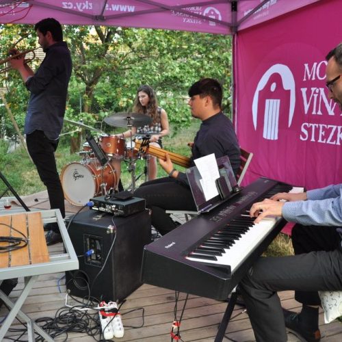 FESTIVAL VÍN V OTEVŘENÉ ZAHRADĚ POD ŠPILBERKEM V SRDCI BRNA – LETNÍ VÍNO Z BLÍZKA